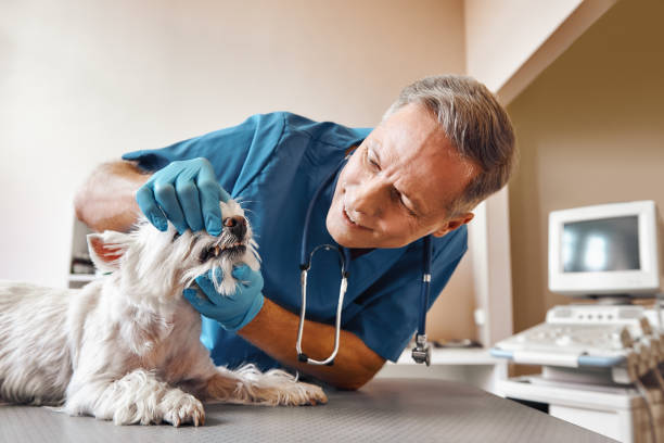 Best Emergency Tooth Extraction in Altamont, IL